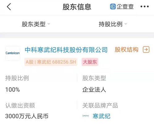 寒武纪南京新公司成立，强化人工智能软件开发布局